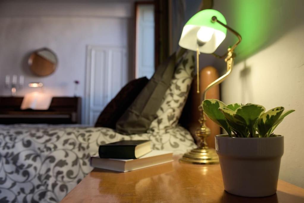 Cozy Apartment With Private Garden - City Center - Флоренція Екстер'єр фото